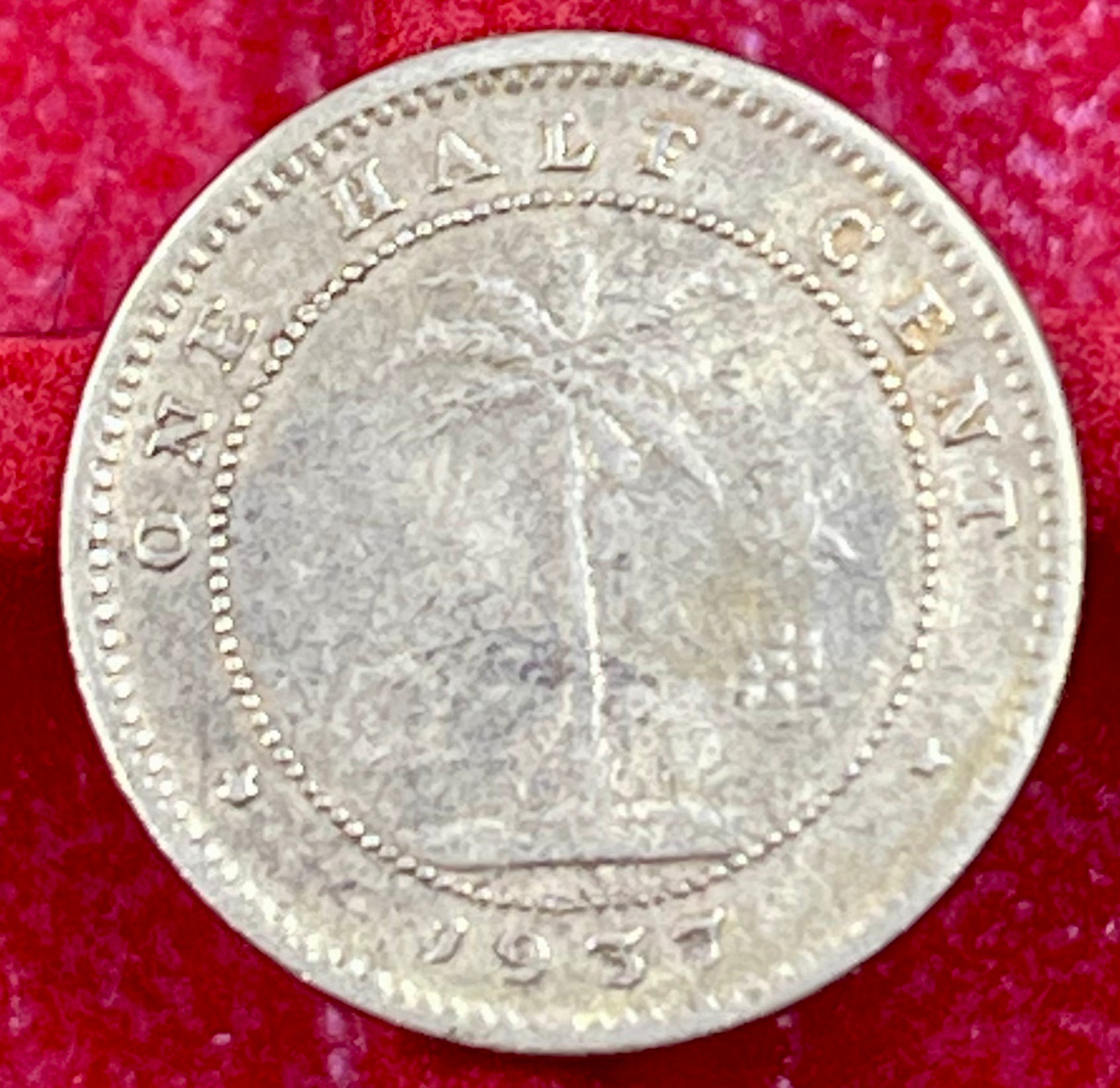 Liberia 1937 1/2 Cent Elephant Coin Brass KM10 Circulated From Lot