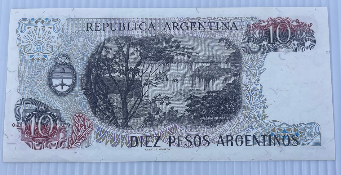Argentina 1983-84 10 Pesos P-313 UNC Banknote