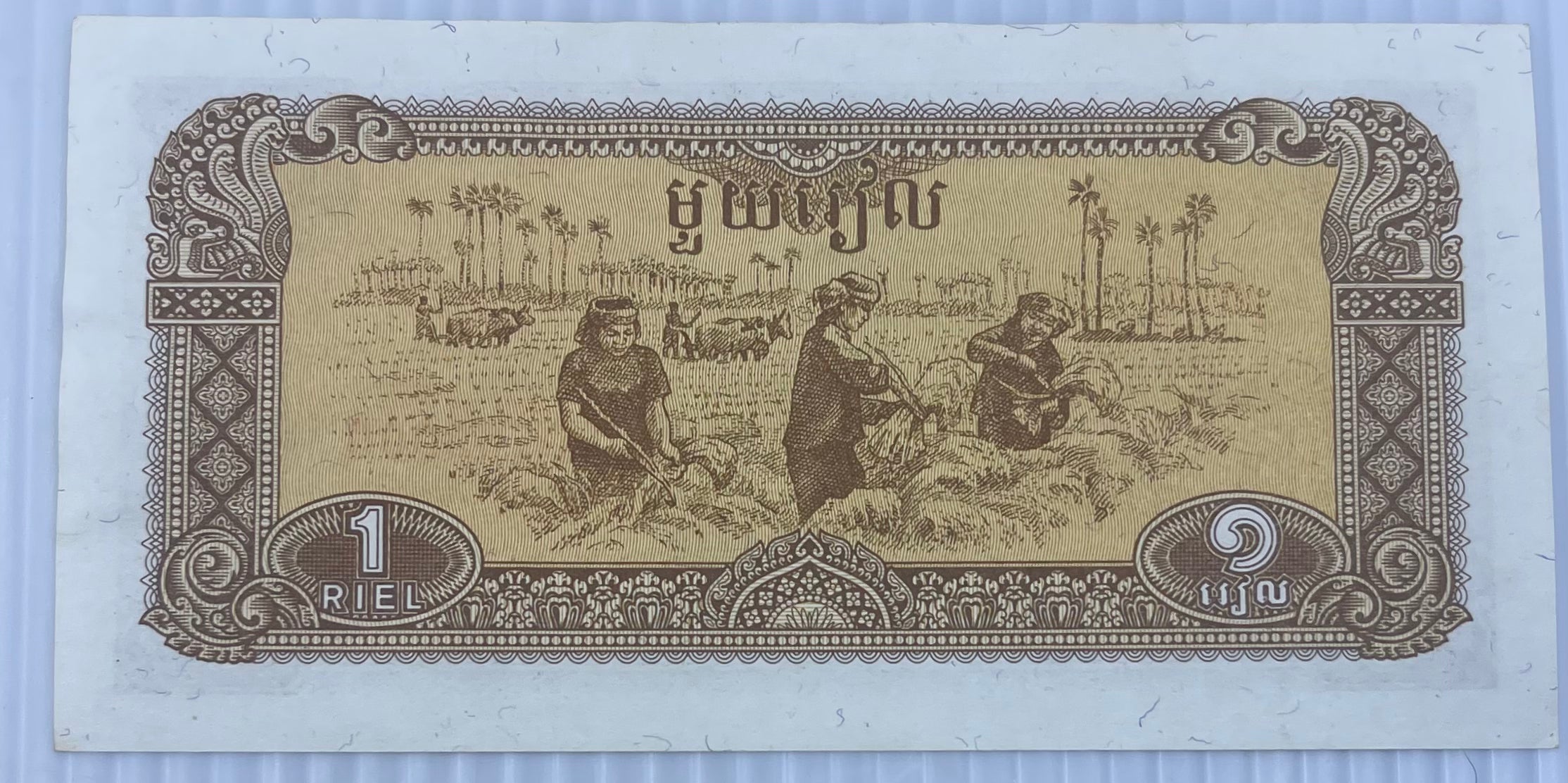 Cambodia 1979 1 Riel P-28 AU World Banknote