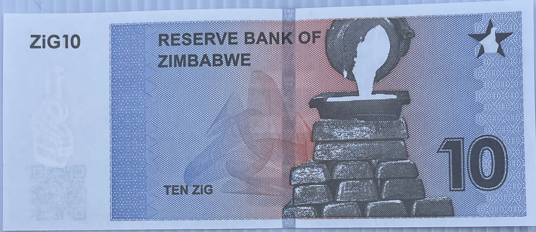 Zimbabwe 2024 10 Zig P-110 UNC World Banknote