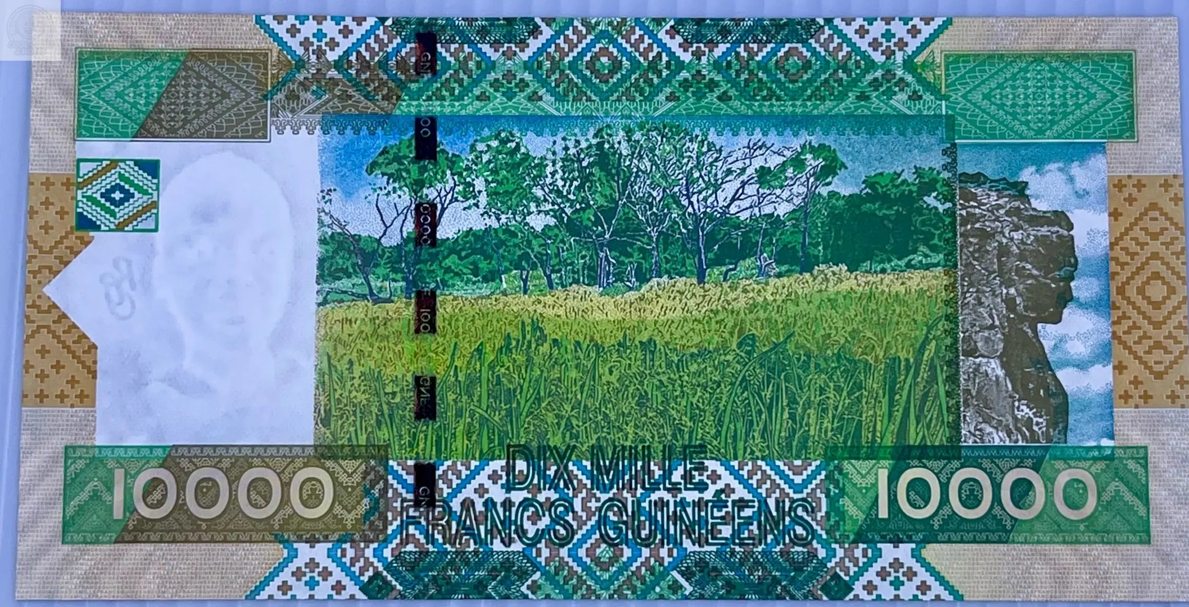 Guinea 2007 1000 Francs P42 UNC World Banknote Currency Cool Coins & Notes