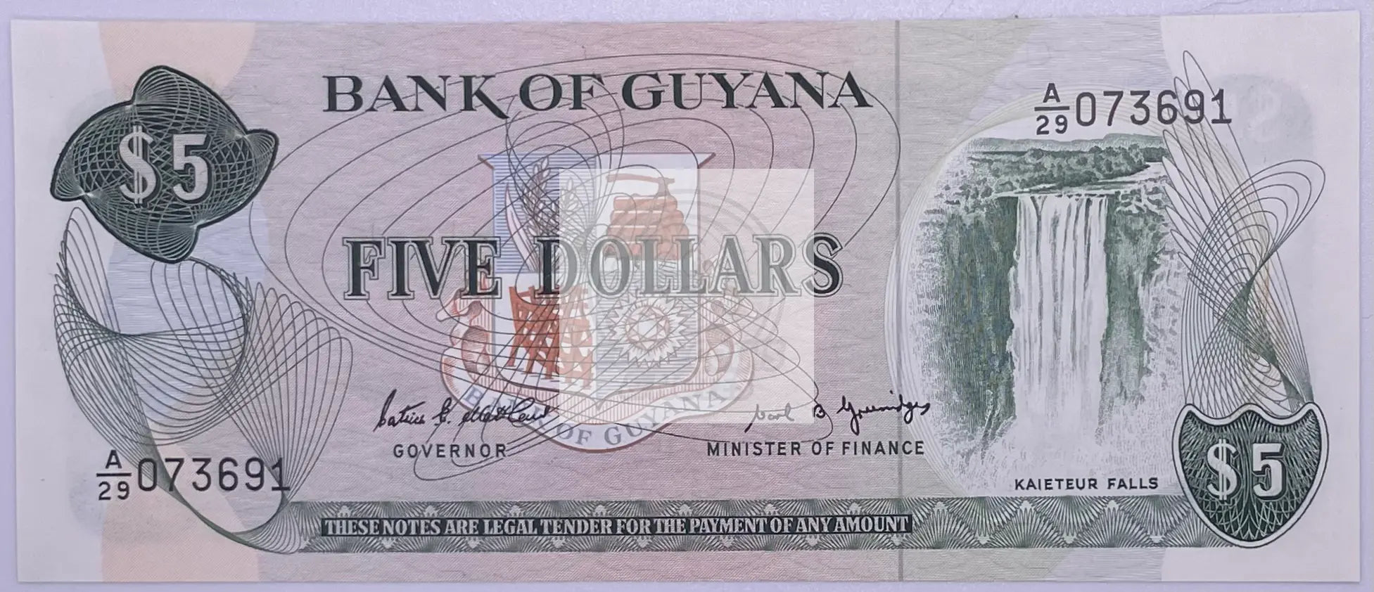 Guyana 1989 5 Dollars P22e UNC - Cool Coins & Notes