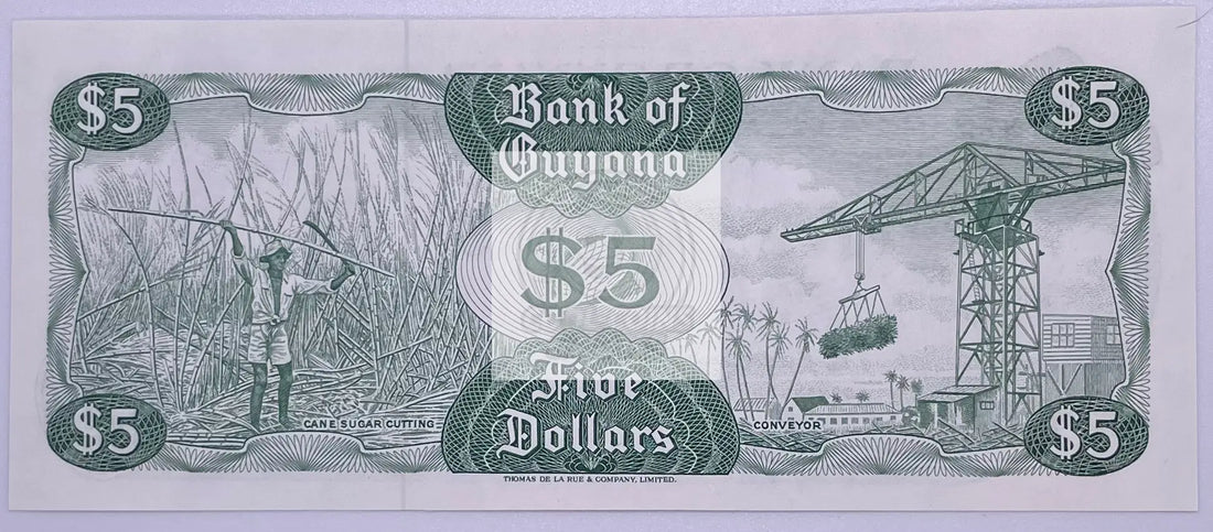 Guyana 1989 5 Dollars P22e UNC - Cool Coins & Notes