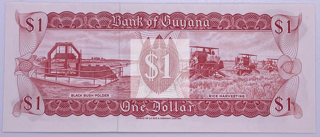 Guyana, 1 dollar, ND (1983), signature 6, P-21e, UNC - Cool Coins & Notes