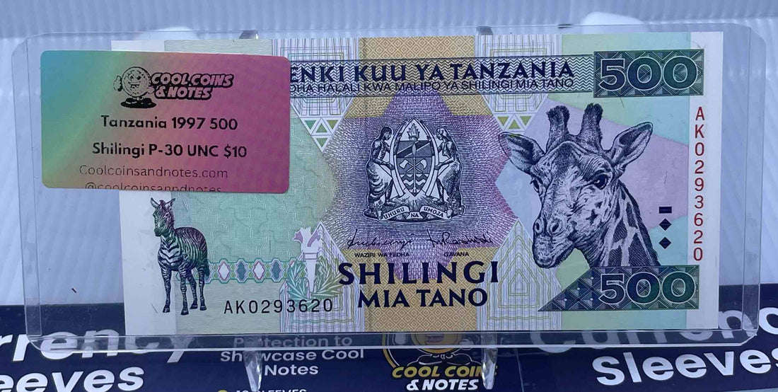 100 Banknote Currency Sleeves Rigid US Dollar Modern Size US Topload Holders Note Cool Coins & Notes