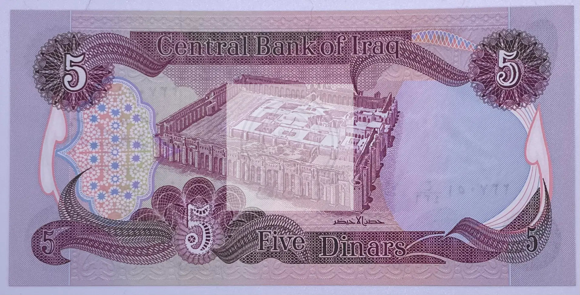 Iraq 1980-1982 5 Dinars P70a UNC, Banknote - Cool Coins & Notes