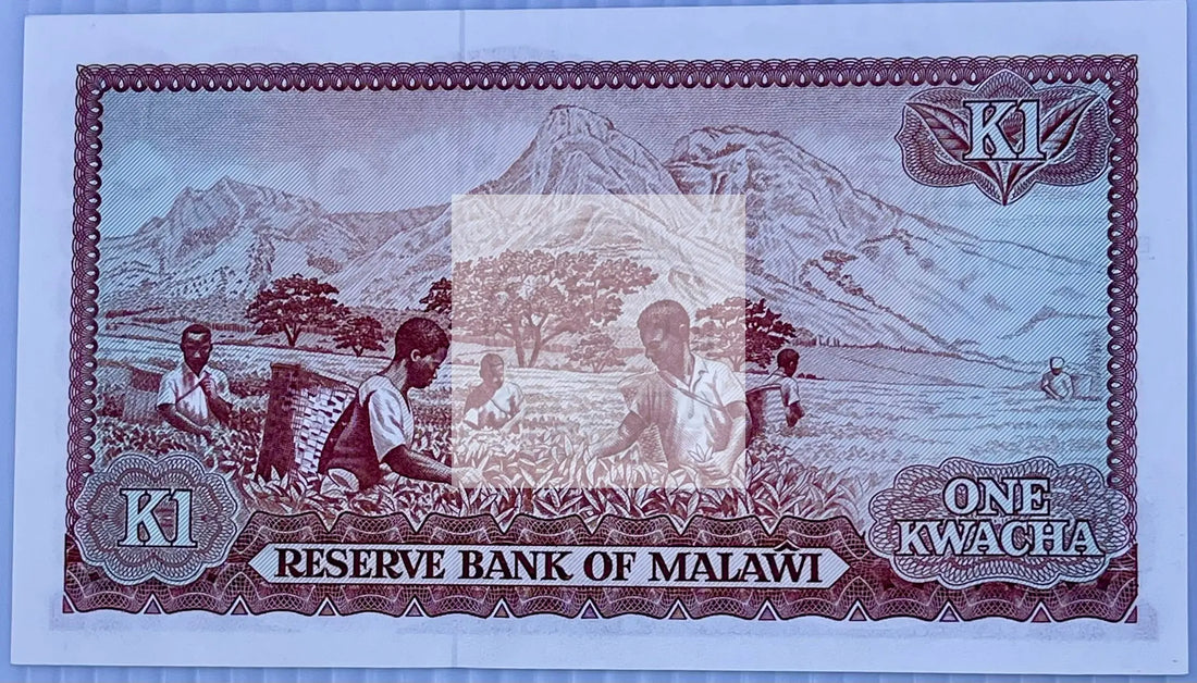 Malawi 1983 1 Kwacha P-14 UNC Banknote - Cool Coins & Notes