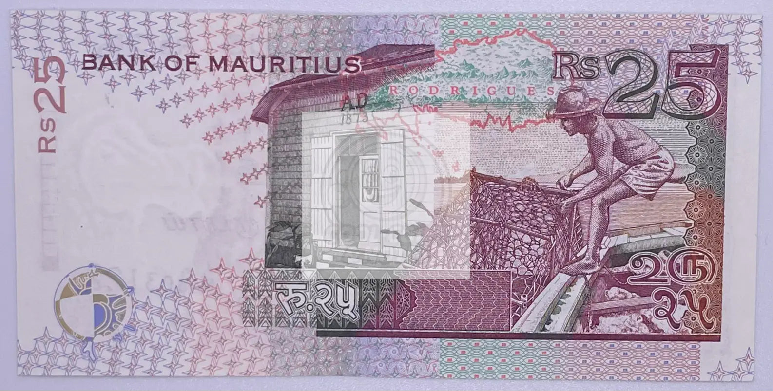Mauritius 25 Rupees 2003 P 49b UNC (P-49b) - Cool Coins & Notes