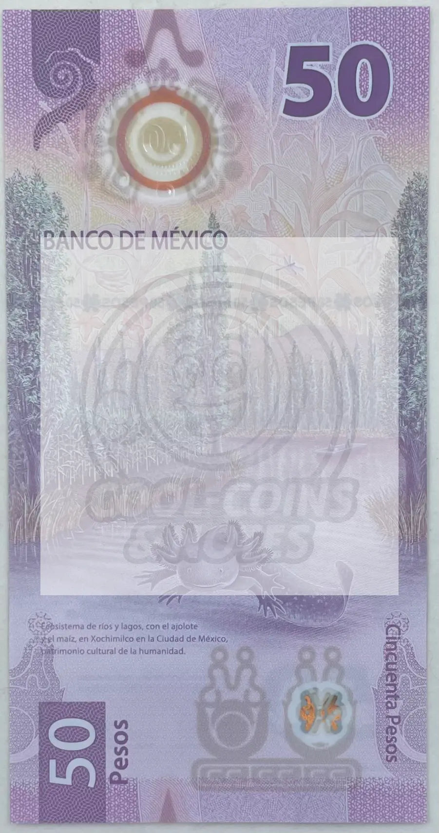 Mexico 2023 50 Pesos P-133e.3 UNC, Polymer World Banknote - Cool Coins & Notes