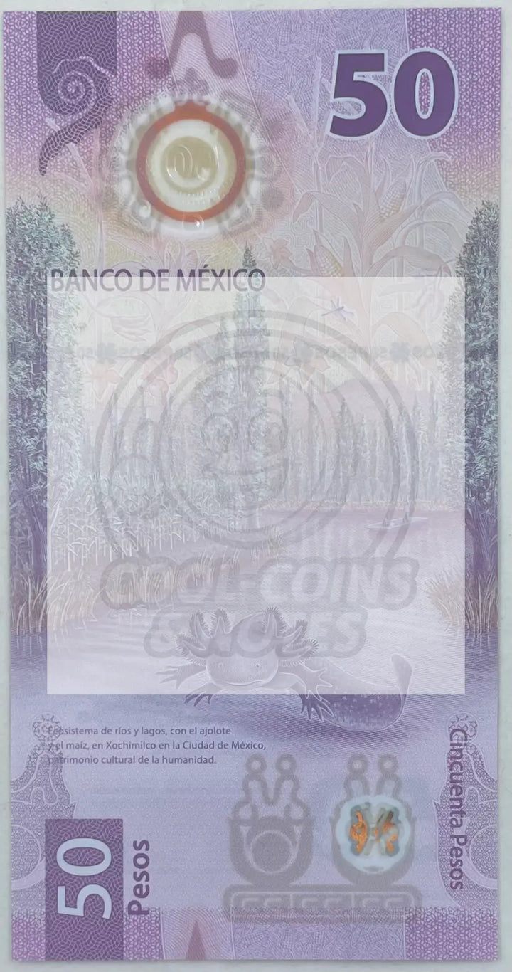 Mexico 2023 50 Pesos P-133e.3 UNC, Polymer World Banknote - Cool Coins & Notes