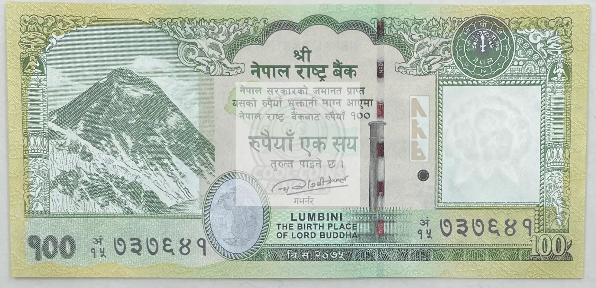 Nepal 100 Rupees Banknote, 2019, P-80a.2, UNC Rhino Banknote - Cool Coins & Notes