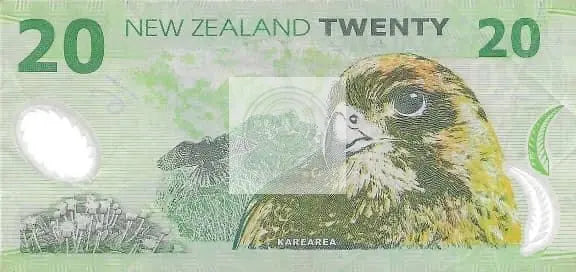 New Zealand $20 1994 P183 (Green Mountain), Used World Banknote - Cool Coins & Notes