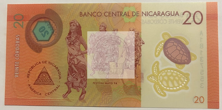 Nicaragua 2014 20 Cordobas P-210 UNC Turtle Polymer World Banknote - Cool Coins & Notes