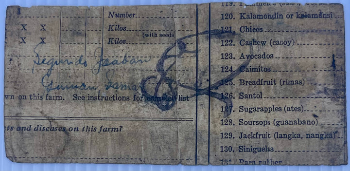 PHILIPPINES 1943 1 PESO – SAMAR PROVINCE EMERGENCY BANKNOTE Japanese Occupation | SMR 785 | Rare WWII Guerrilla Currency - Cool Coins & Notes