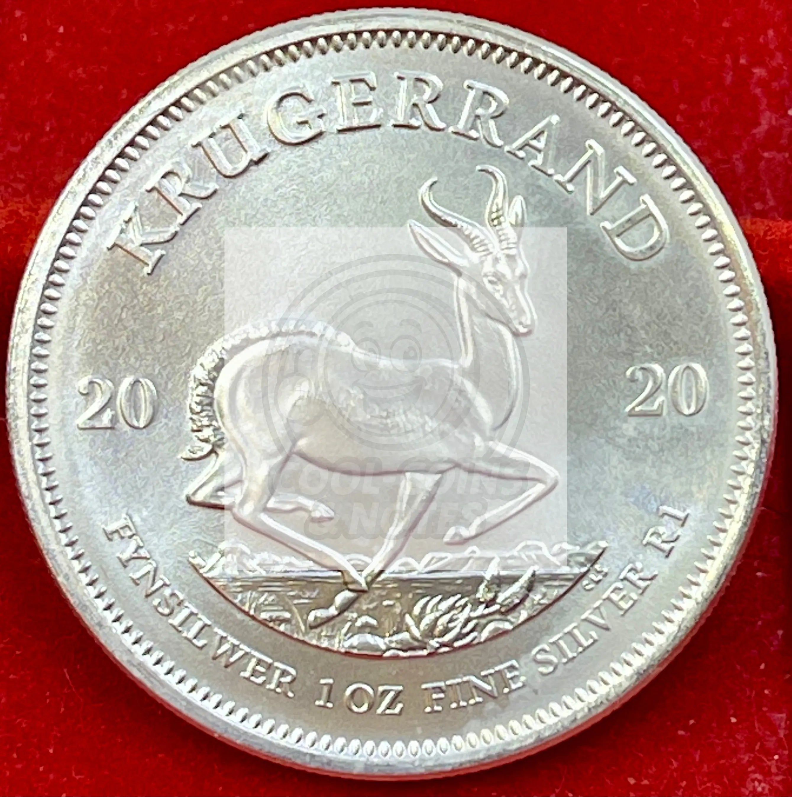 South Africa 2020 1 Krugerrand Silver UNC Coin - Cool Coins & Notes