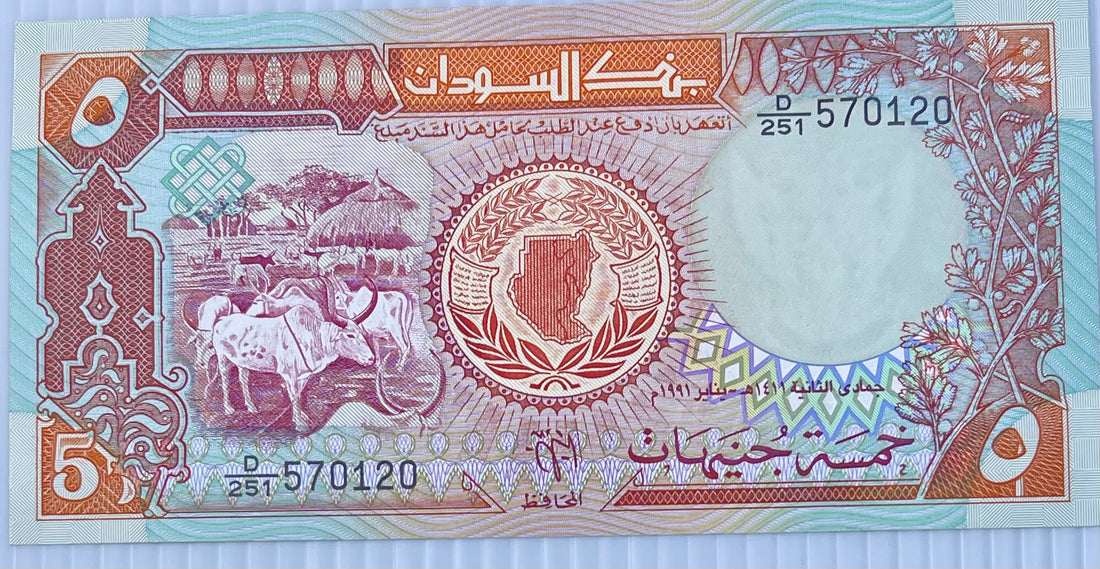 Sudan 1991 5 Sudanese Pounds P-45 UNC Banknote - Cool Coins & Notes