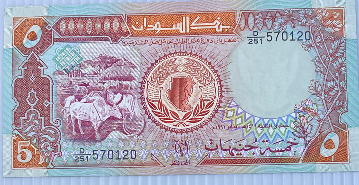 Sudan 1991 5 Sudanese Pounds P-45 UNC Banknote - Cool Coins & Notes