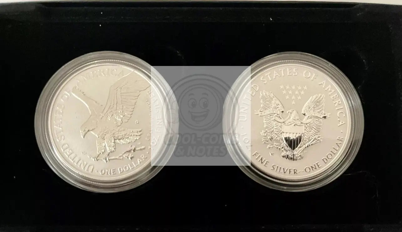 U.S. Mint American Eagle 2021 One Ounce Silver Reverse Proof Two-Coin Set SM139 - Cool Coins & Notes