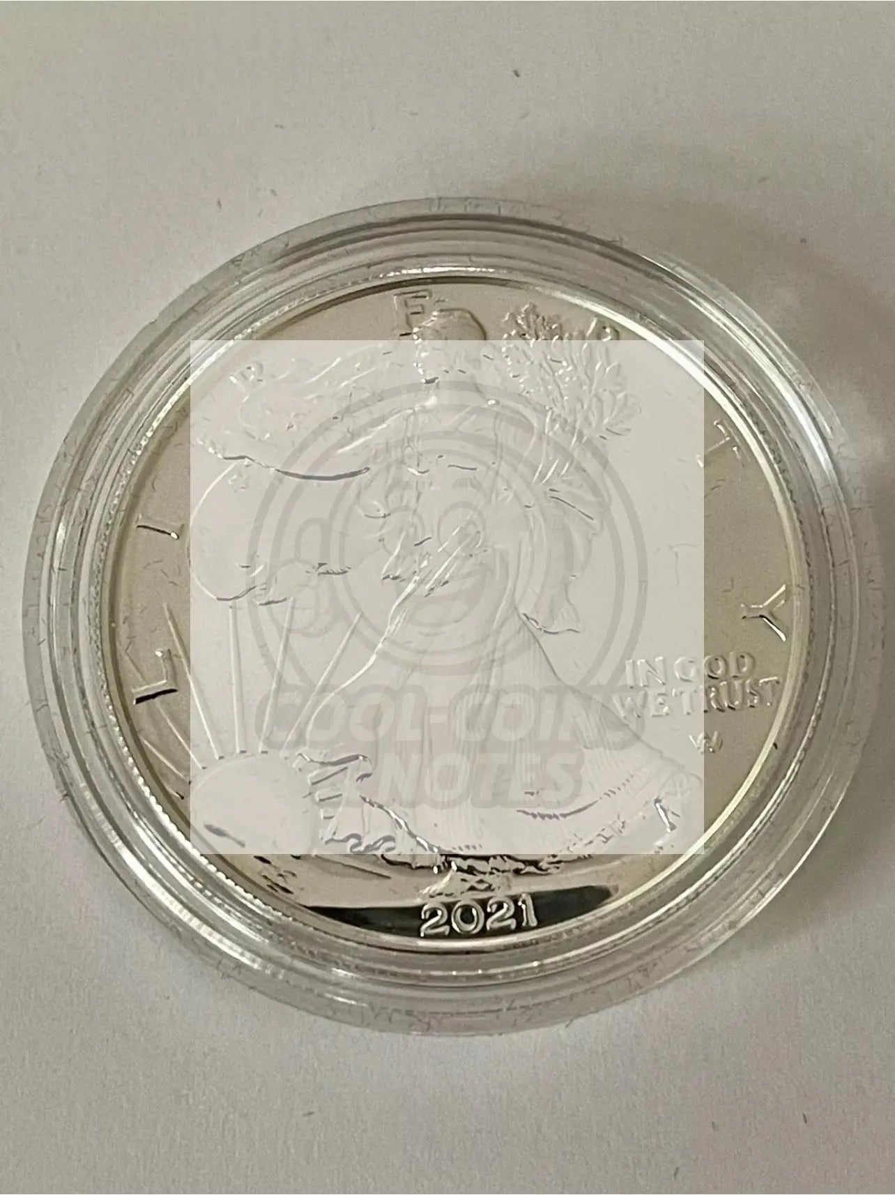 U.S. Mint American Eagle 2021 One Ounce Silver Reverse Proof Two-Coin Set SM139 - Cool Coins & Notes