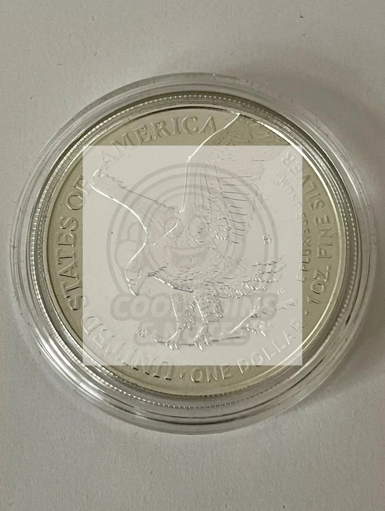 U.S. Mint American Eagle 2021 One Ounce Silver Reverse Proof Two-Coin Set SM139 - Cool Coins & Notes