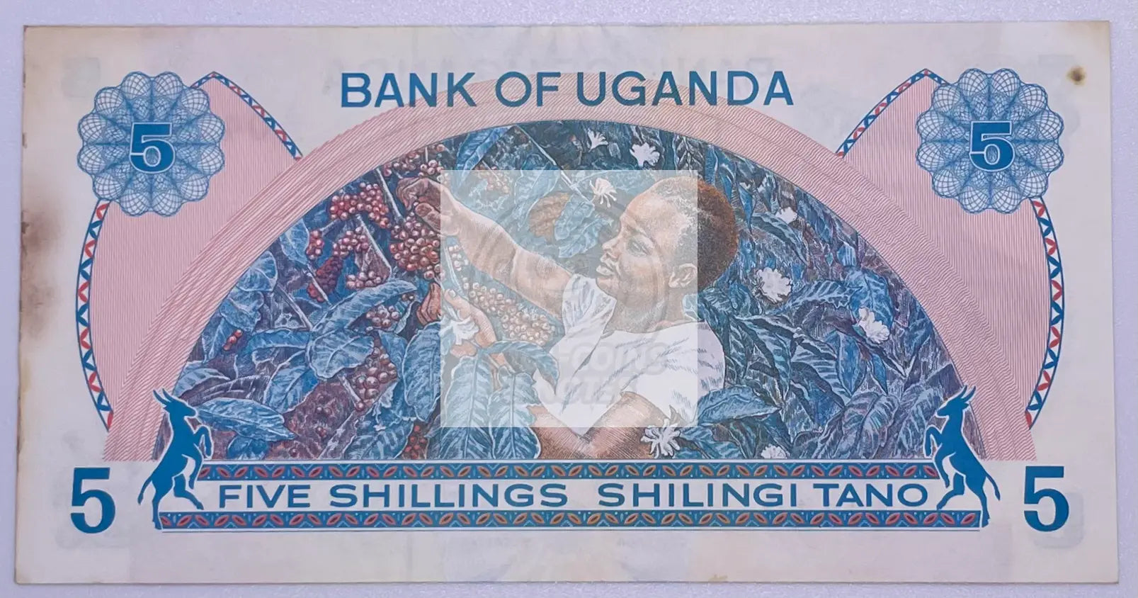 Uganda 5 Shillings 1977 ND P-5A UNC Idi Amin World Currency Banknote - Cool Coins & Notes