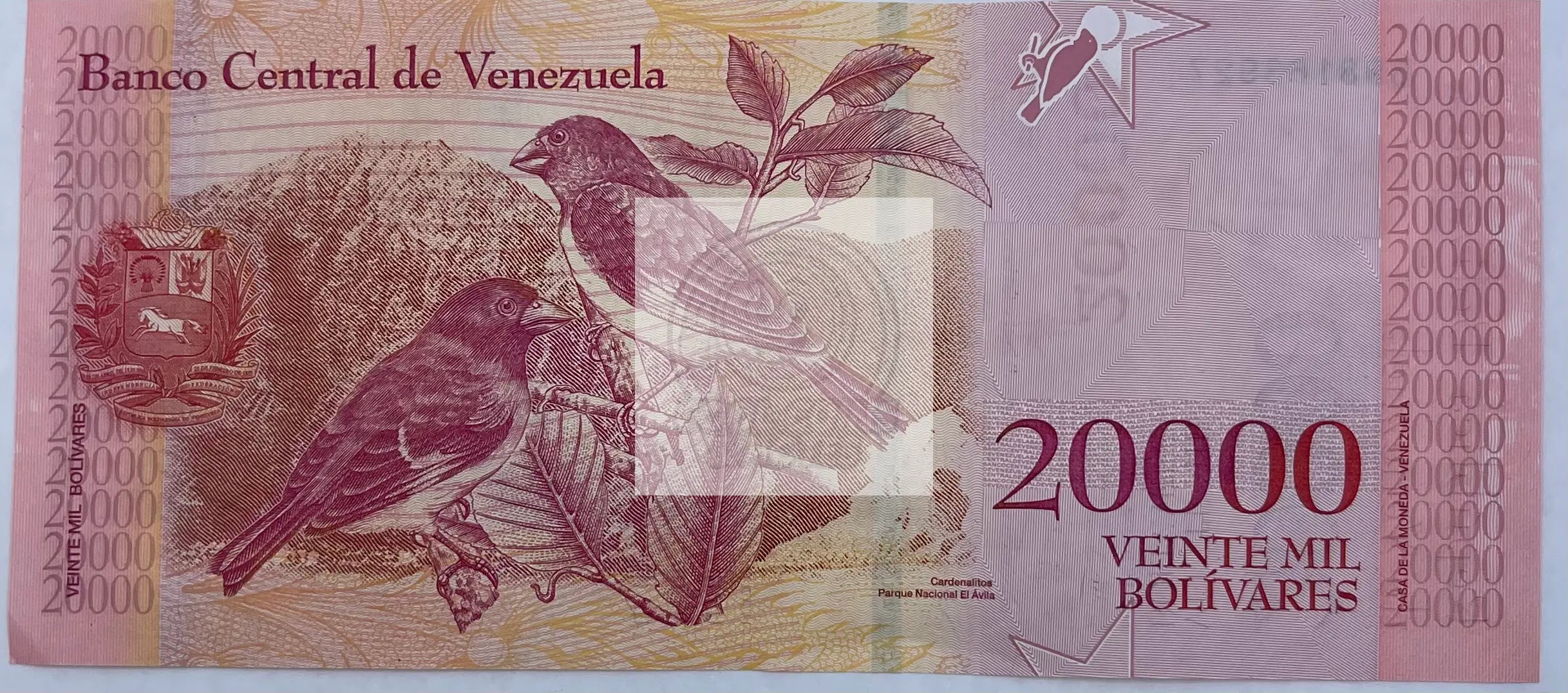 Venezuela 2015 200 Bolivares P-93d Bird UNC P93 - Cool Coins & Notes