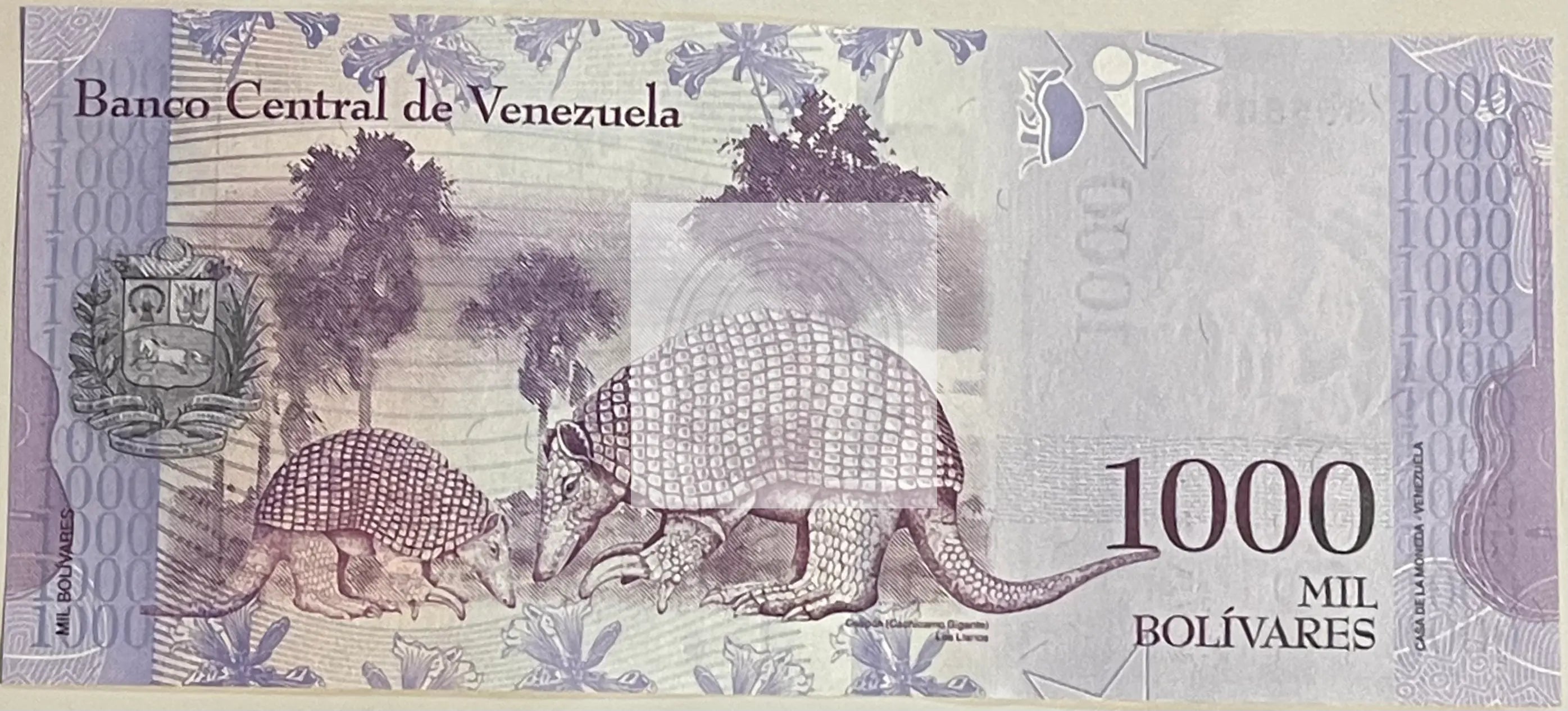 Venezuela 2017 1000 Bolivares P95 UNC World Banknote Currency - Cool Coins & Notes