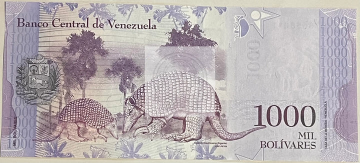 Venezuela 2017 1000 Bolivares P95 UNC World Banknote Currency - Cool Coins & Notes