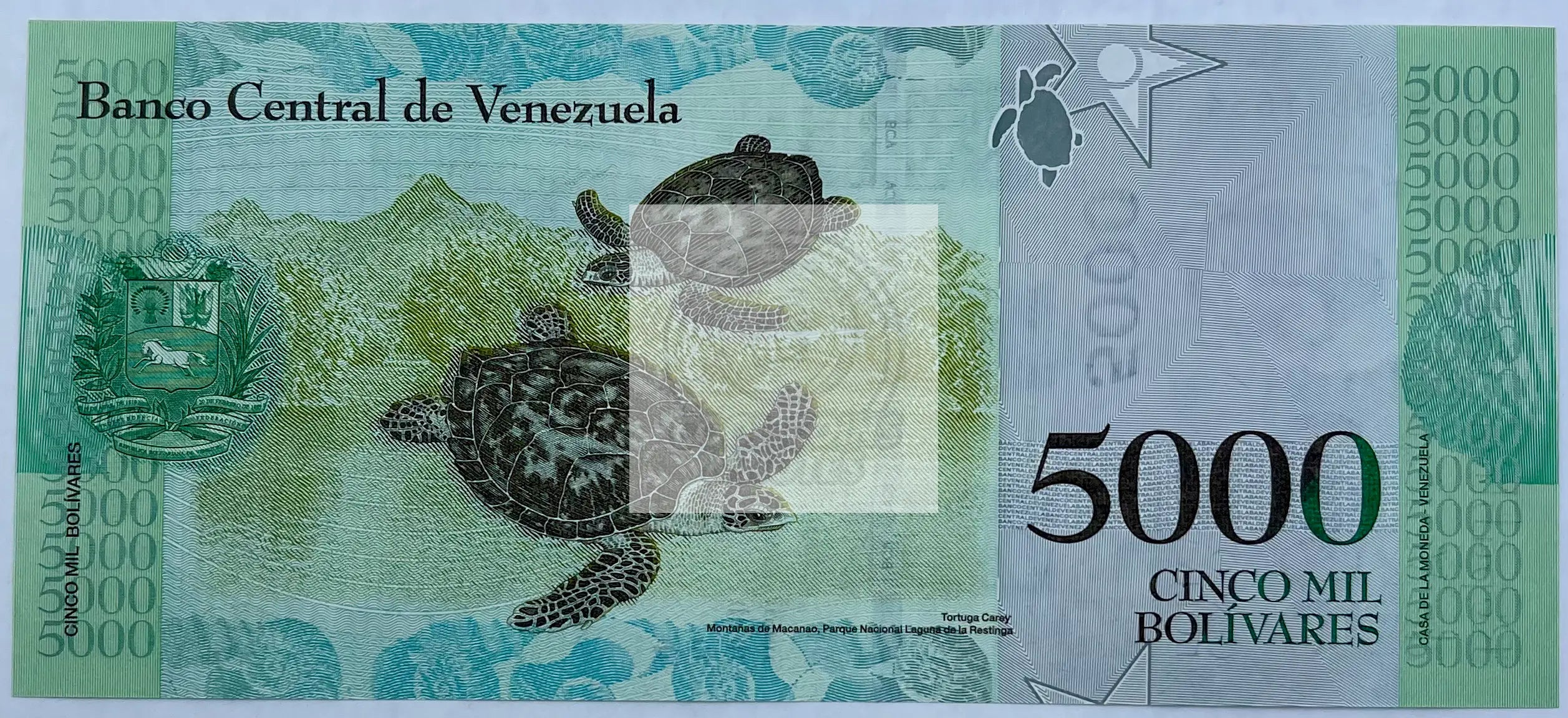 Venezuela 5000 Bolivares P 97a 2016 UNC, World Banknote Currency - Cool Coins & Notes