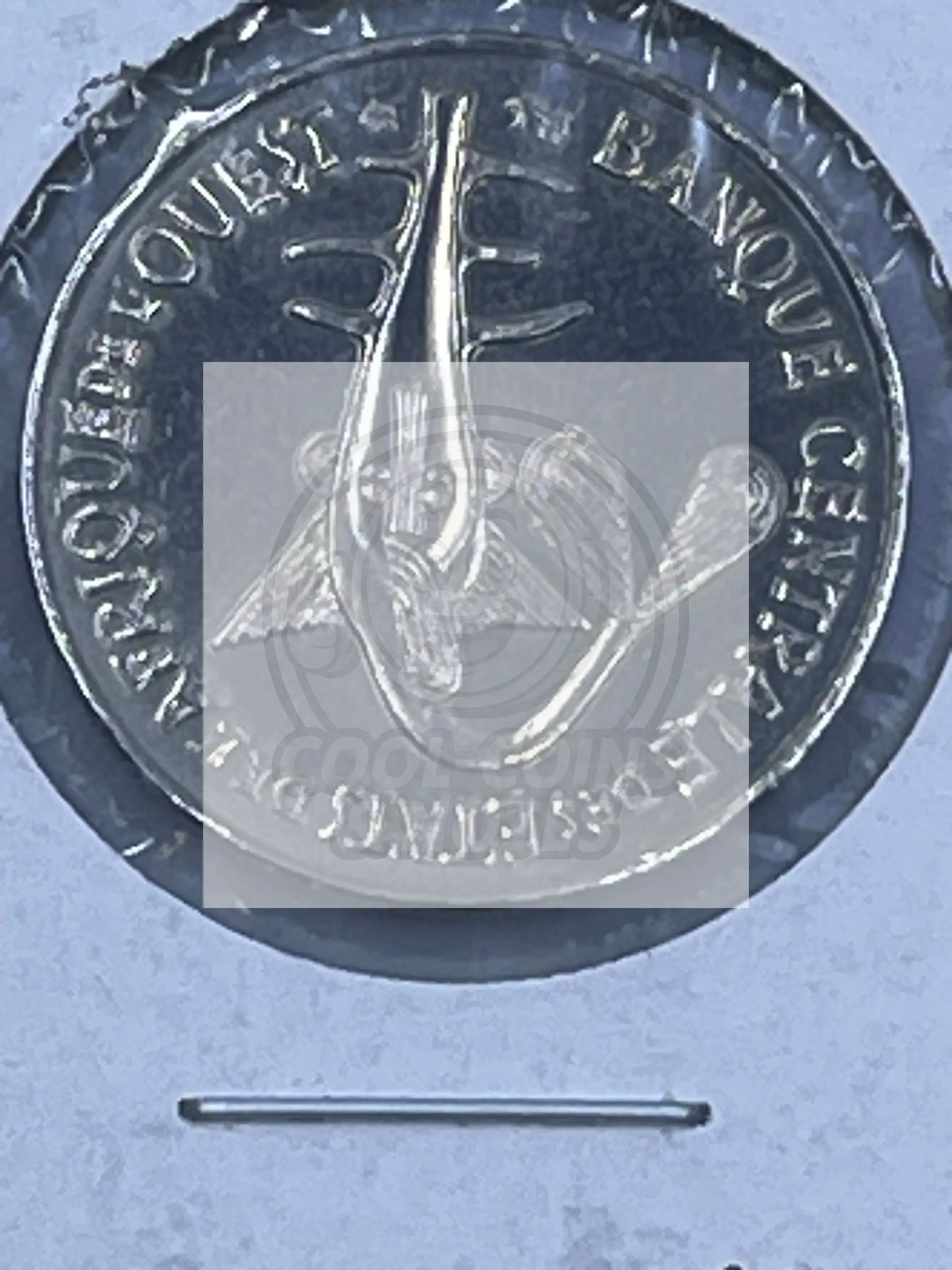 Western Africa 2007 50 Francs KM#6 UNC World Coin