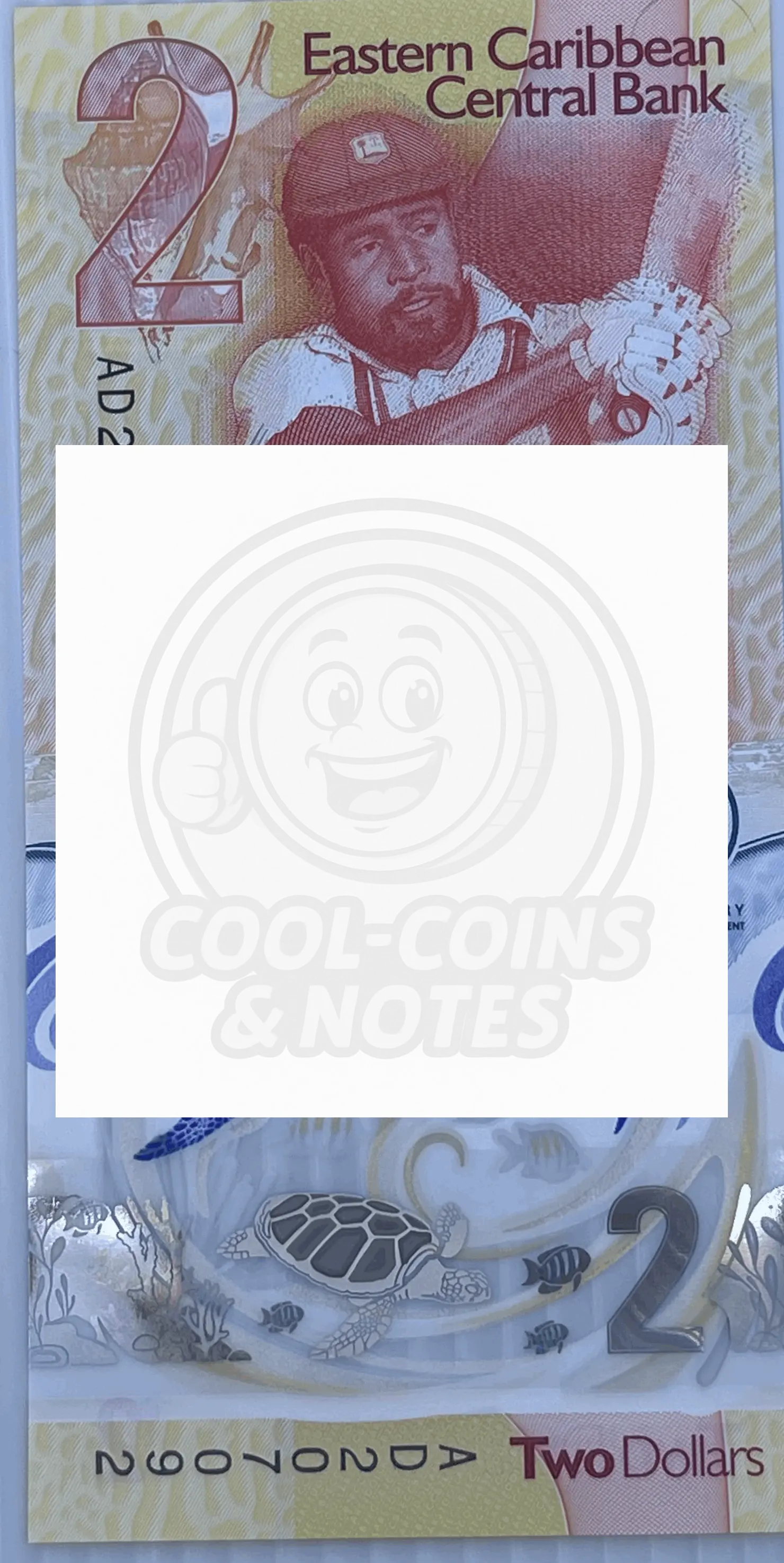 World Currency Starter Collector Set – A Unique Gift for Currency Enthusiasts