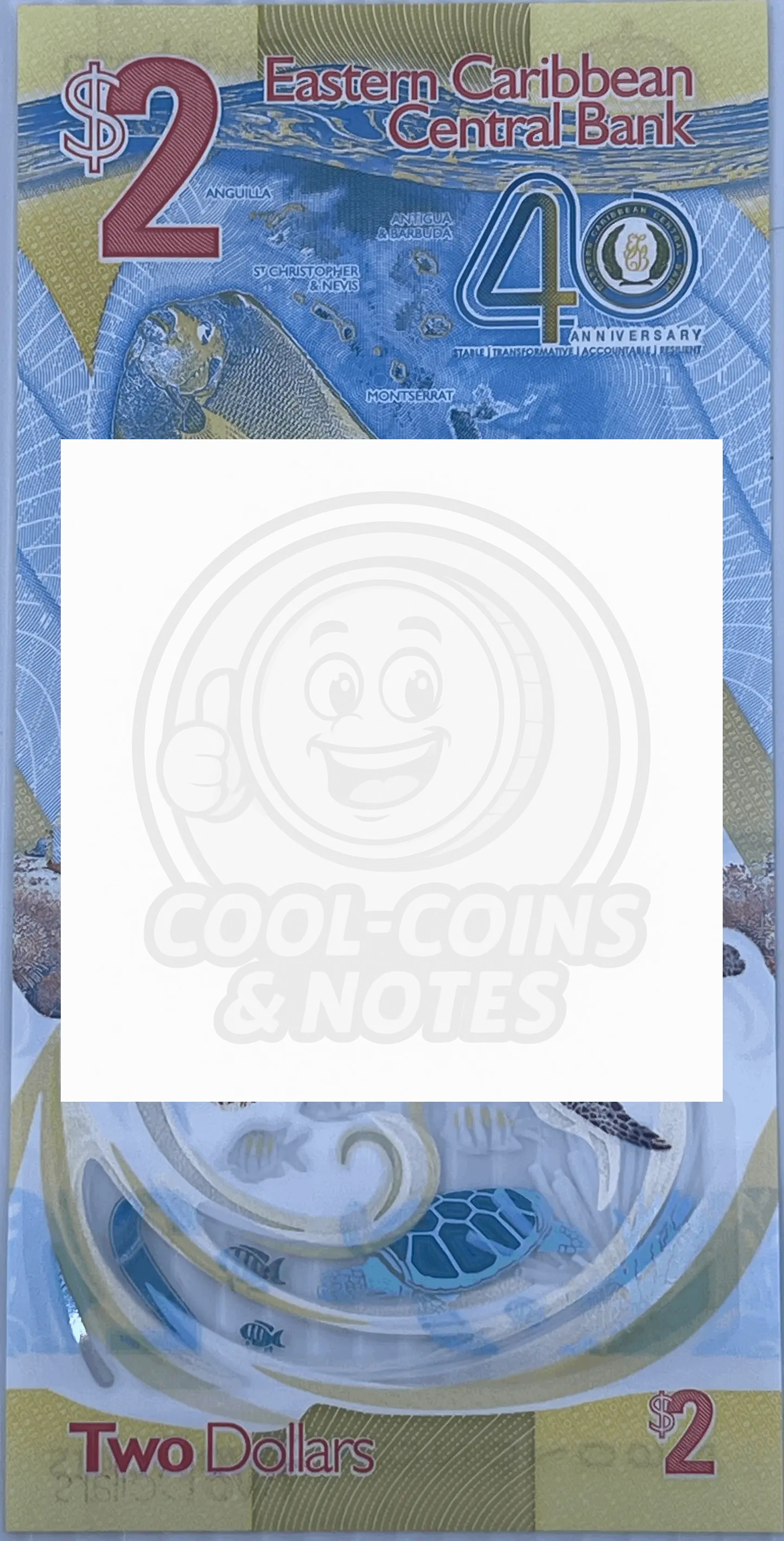 World Currency Starter Collector Set – A Unique Gift for Currency Enthusiasts