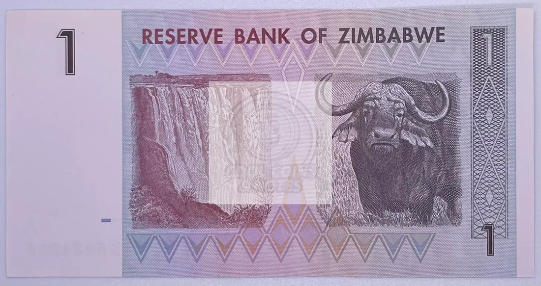 ZIMBABWE 1 DOLLAR 2007 P 65 UNC - Cool Coins & Notes