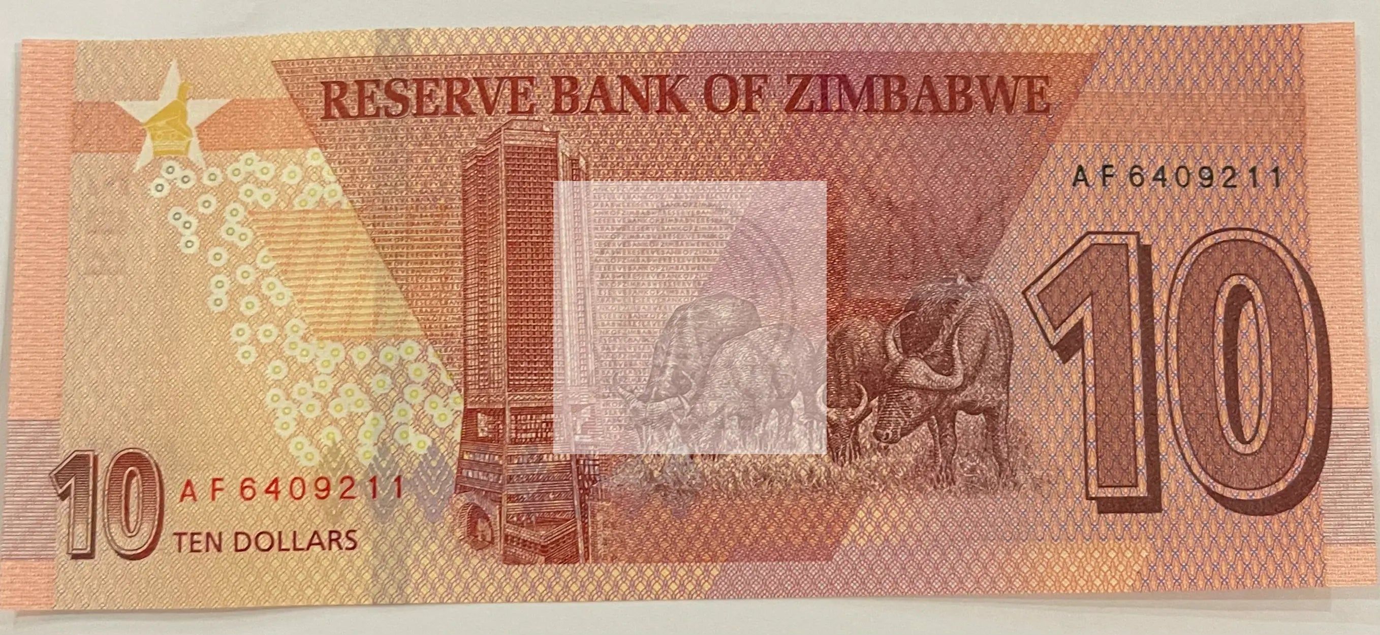 Zimbabwe 10 Dollars Banknote, 2020, P-103, UNC - Cool Coins & Notes