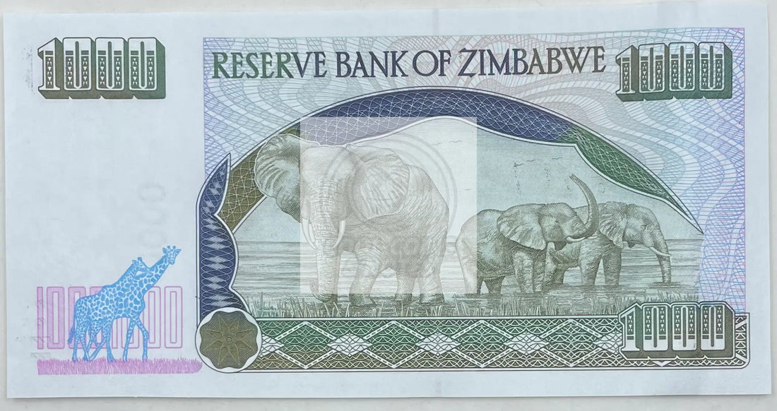Zimbabwe 1,000 Dollars Banknote, 2003, P-12b, UNC - Cool Coins & Notes