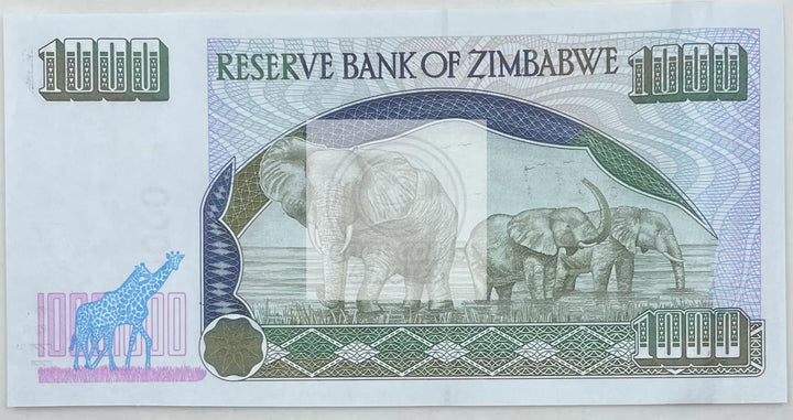 Zimbabwe 1,000 Dollars Banknote, 2003, P-12b, UNC - Cool Coins & Notes