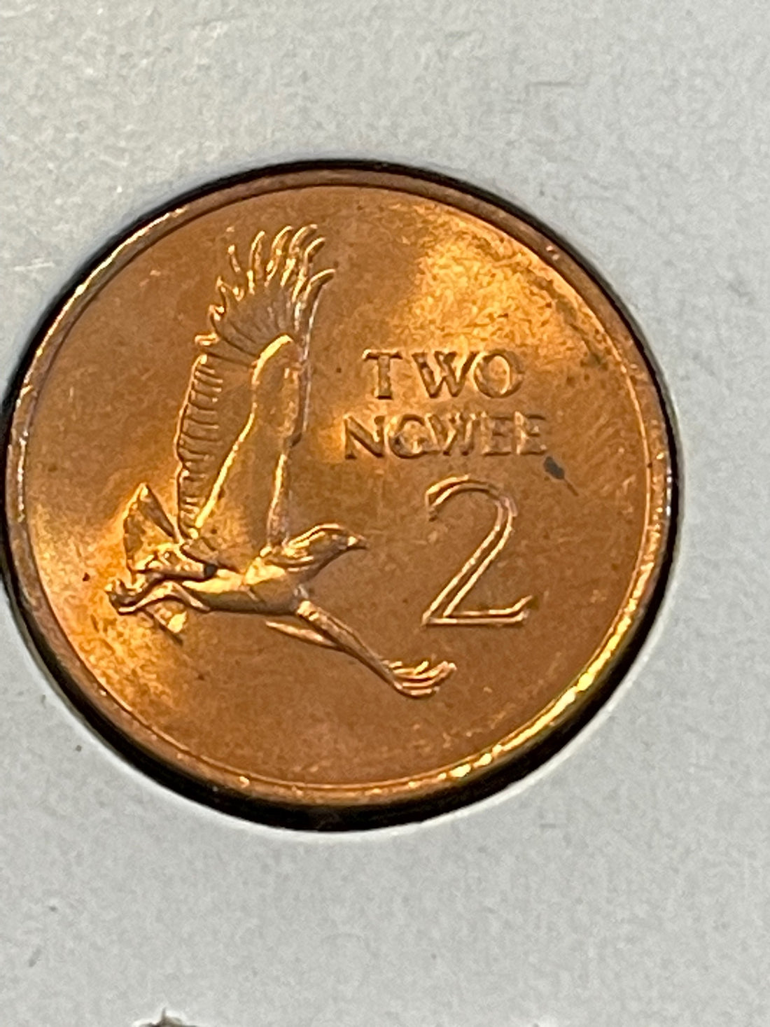 Zambia 1983 2 Ngwee Coin UNC KM 10.a - Cool Coins & Notes