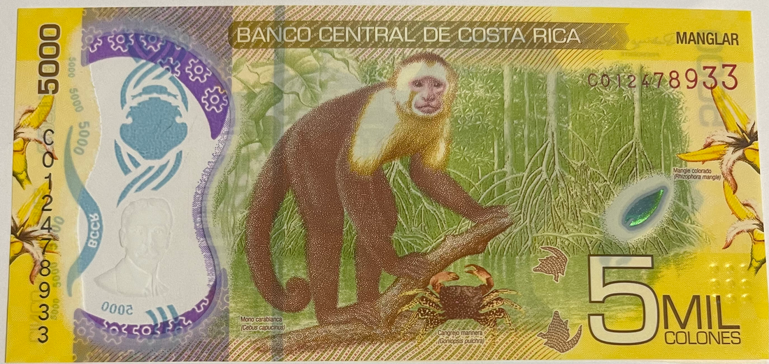 Costa Rica 2018 5000 Colones P-282 UNC Monkey Polymer World Banknote