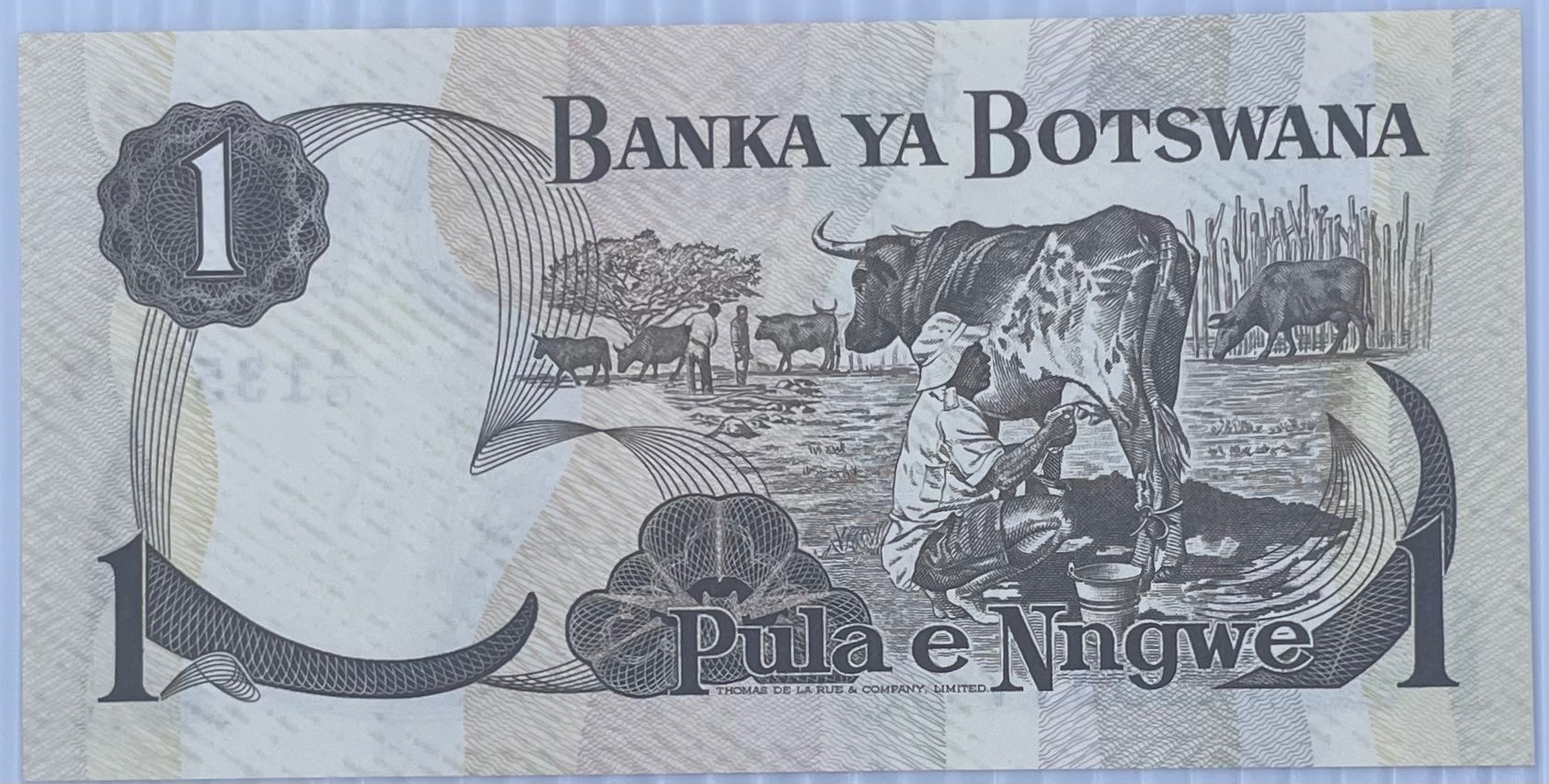 Botswana 1976 1 Pula P-1 UNC World Banknote Note Shown — front