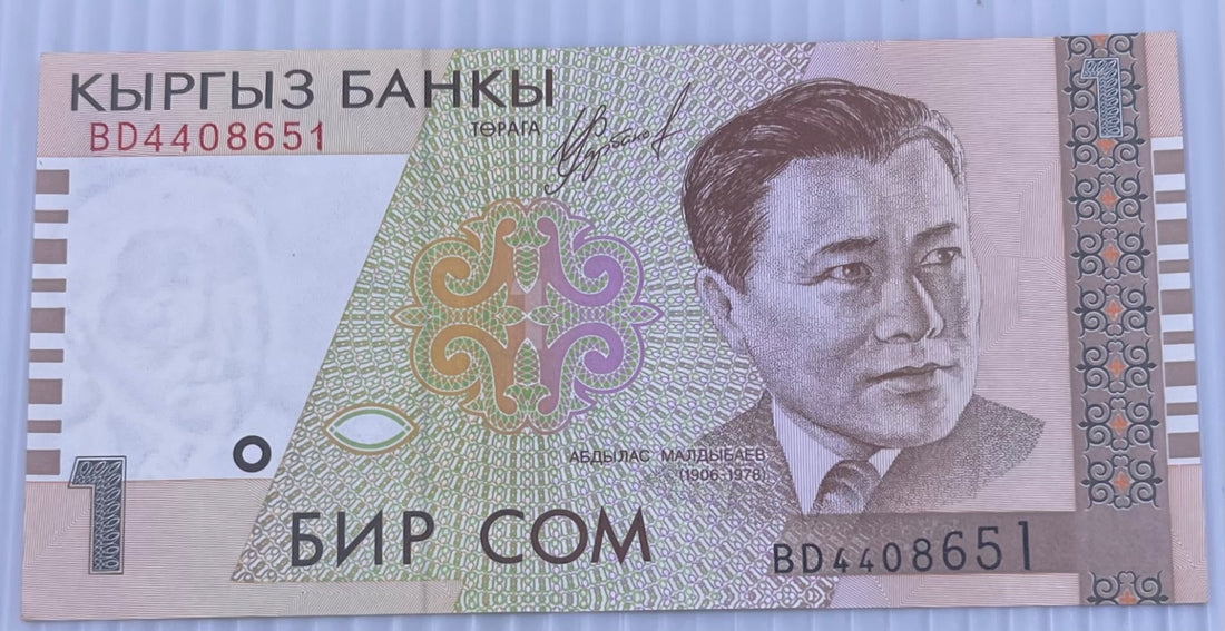 Kyrgyzstan 1999 1 Som P-4 Circulated World Banknote Note Shown — front