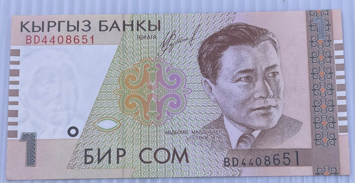 Kyrgyzstan 1999 1 Som P-4 Circulated World Banknote Note Shown — front