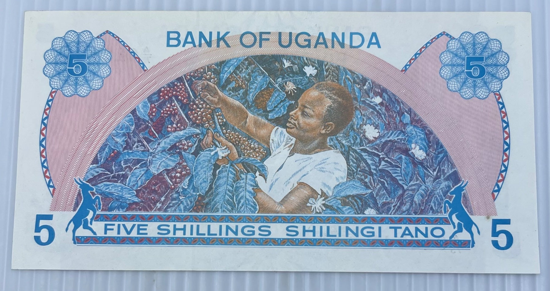 Uganda 1979 5 Shillings P-10 Circulated World Banknote — back