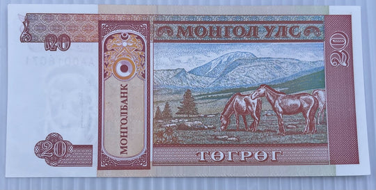 Mongolia 2009 20 Tögrög P-63 UNC World Banknote — back