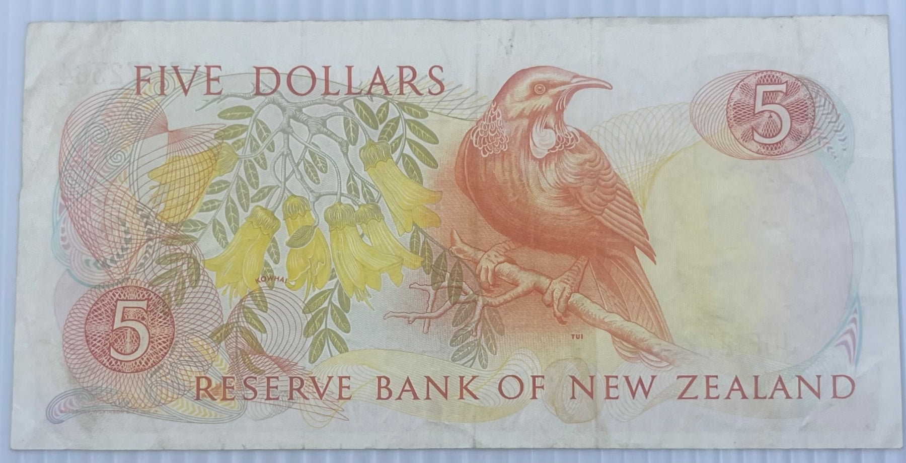 New Zealand 1981 5 Dollars P-171 Circulated World Banknote — back