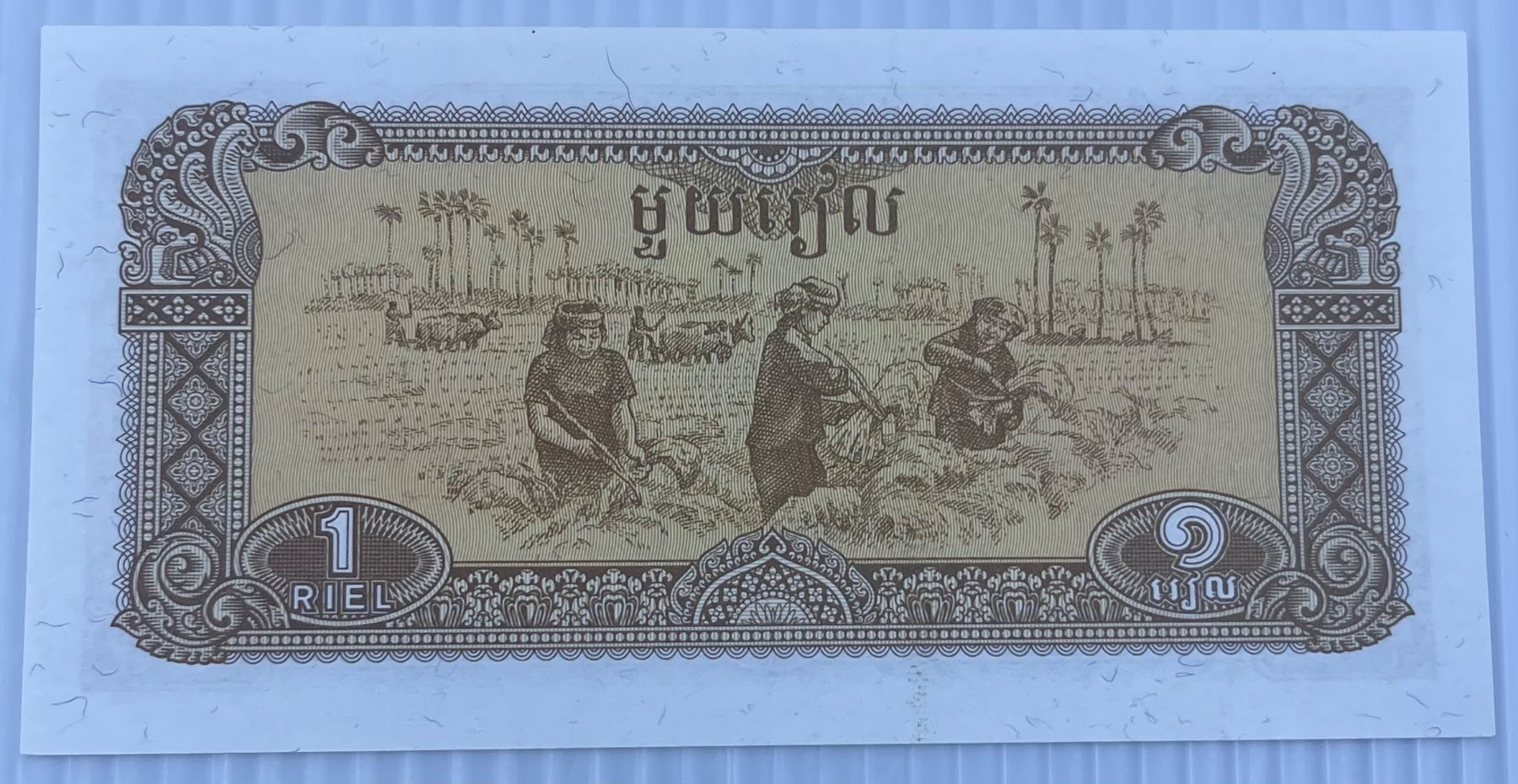 Cambodia 1979 1 Riel P-28 UNC World Banknote — back