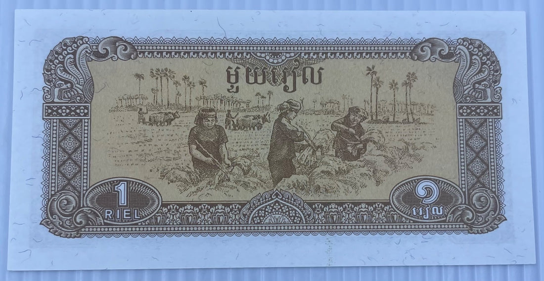 Cambodia 1979 1 Riel P-28 UNC World Banknote — back
