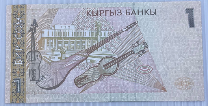 Kyrgyzstan 1999 1 Som P-4 Circulated World Banknote Note Shown — back